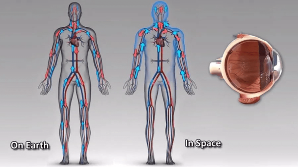 ۵ حقیقت عجیب از زندگی فضانوردان