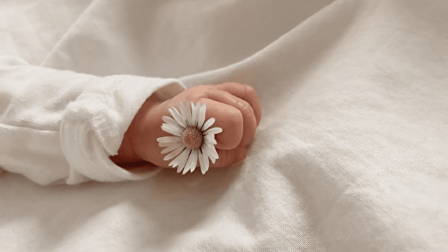 یلدایی که تمام نشدنی به نظر میآمد یلدایی که تمام نشدنی به نظر میآمد